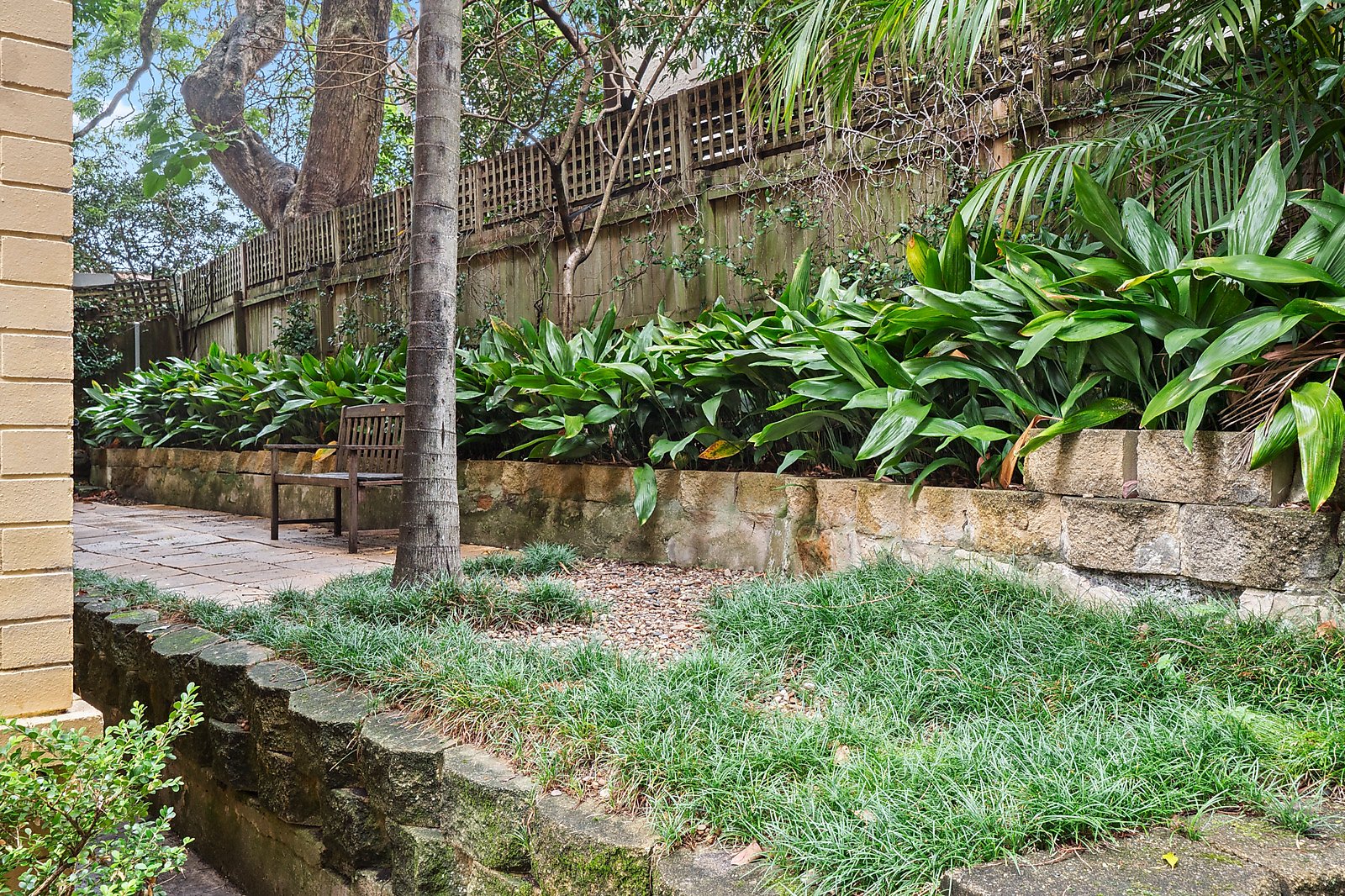 2/24 Cooper Street, Double Bay Auction by Sydney Sotheby's International Realty - image 1