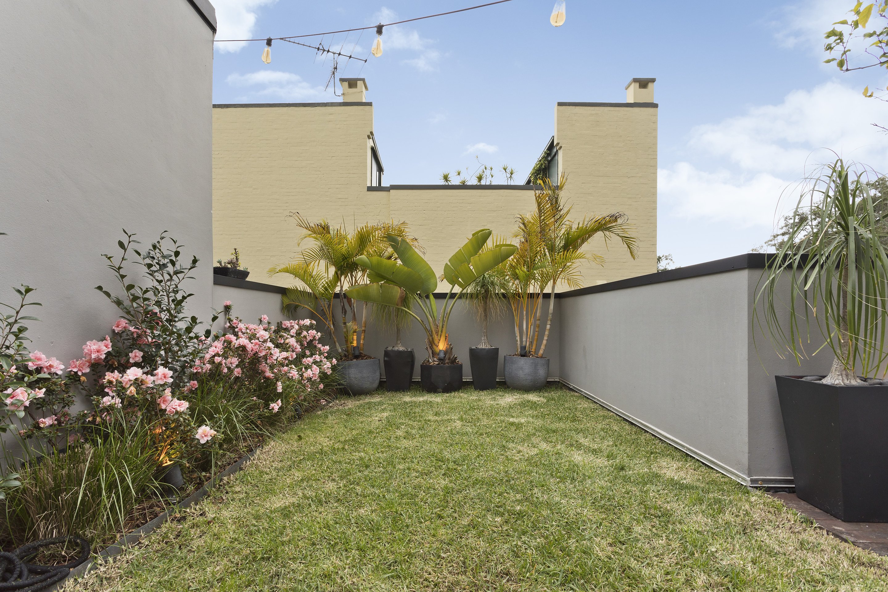 5/23 Stanley Street, Darlinghurst Auction by Sydney Sotheby's International Realty - image 7